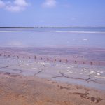 Salin-de-Giraud Camargue Marais salant