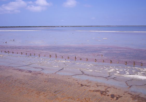 Salin-de-Giraud Camargue Marais salant