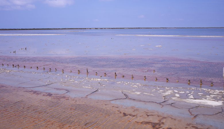 Salin-de-Giraud Camargue Marais salant