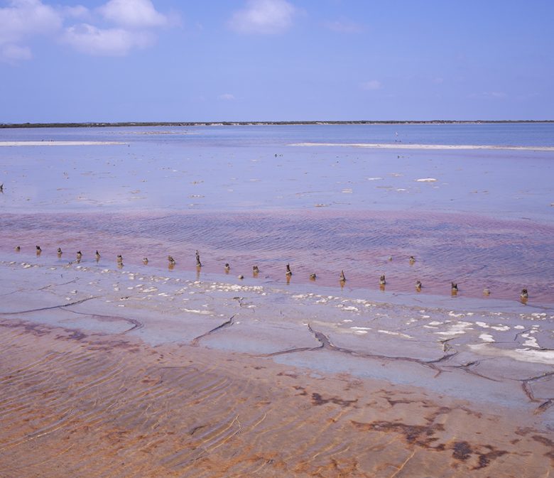 Salin-de-Giraud Camargue Marais salant