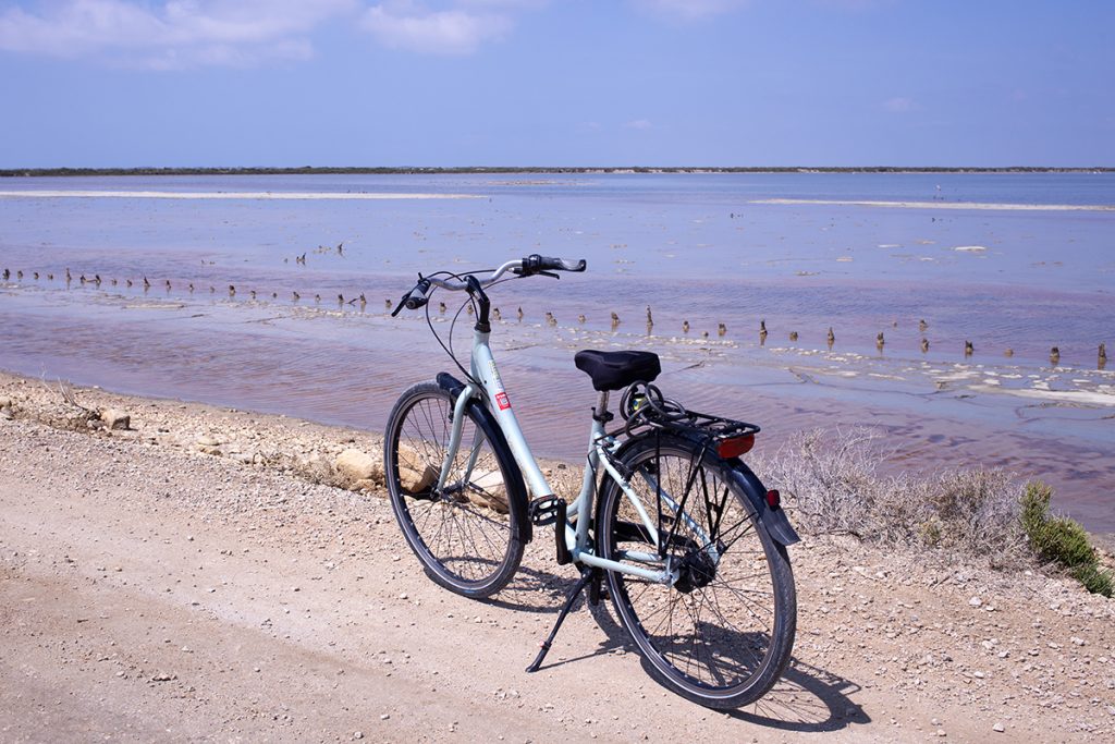 Salin-de-Giraud Camargue Marais salant