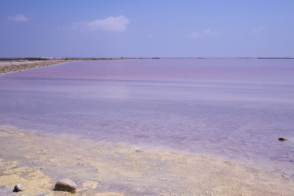 Salin-de-Giraud Camargue Marais salant