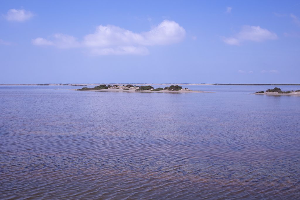 Salin-de-Giraud Camargue Marais salant