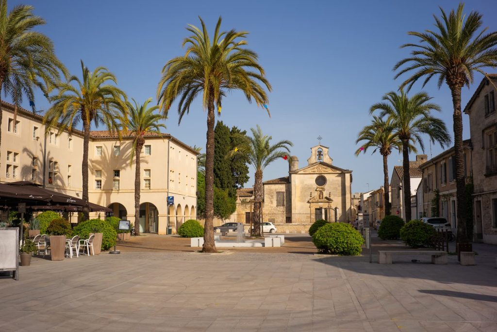 Camargue Aigues-Mortes