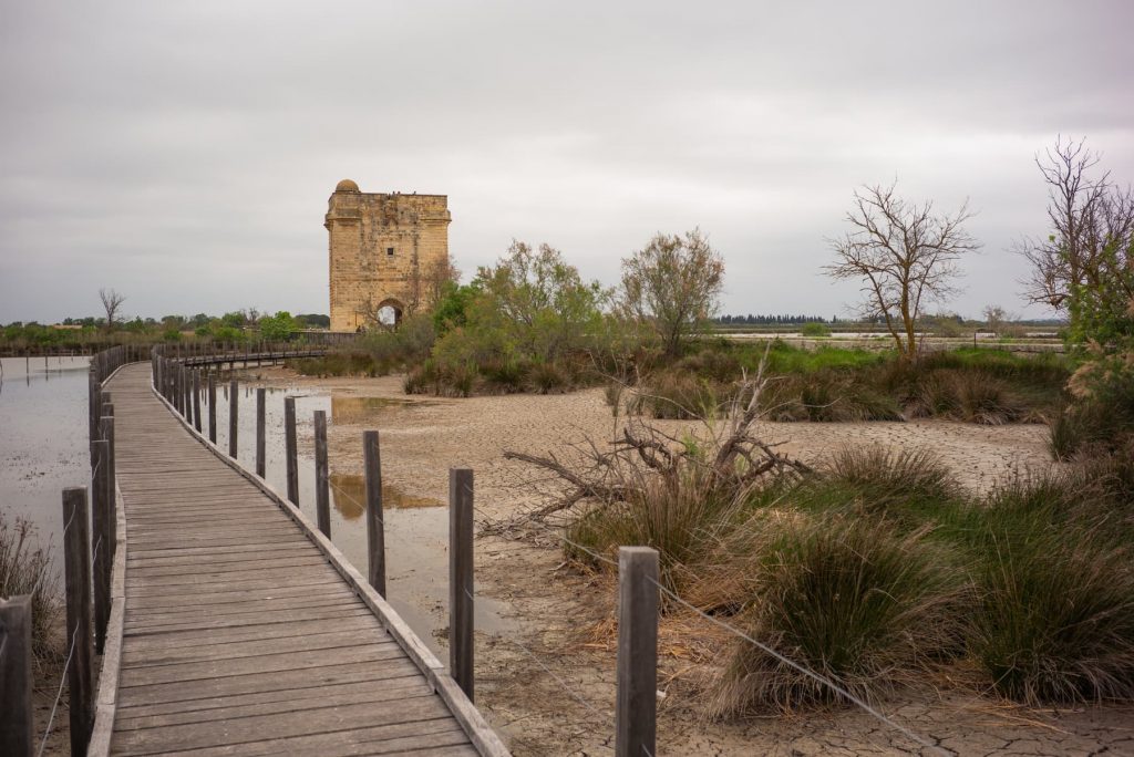 Camargue Tour Carbonnière Aigues-Mortes
