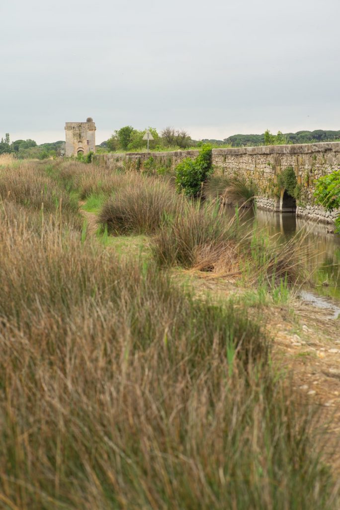 Camargue Tour Carbonnière Aigues-Mortes