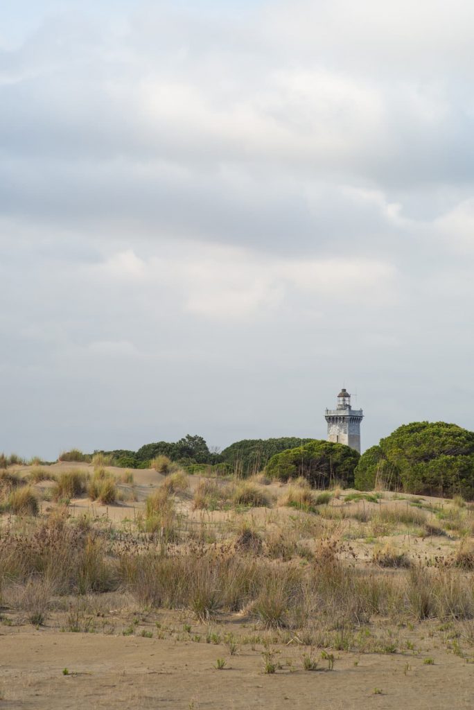 Camargue - Phare de l'Espiguette