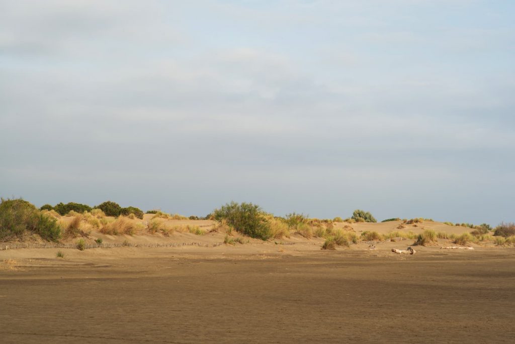 Camargue - Phare de l'Espiguette