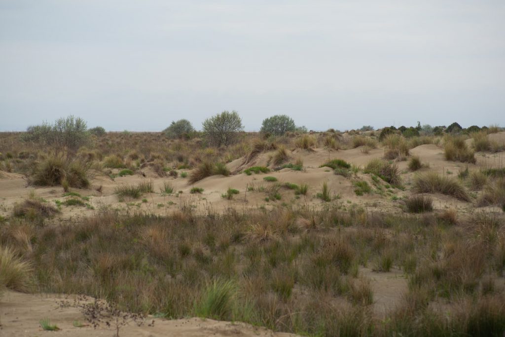Camargue - Phare de l'Espiguette