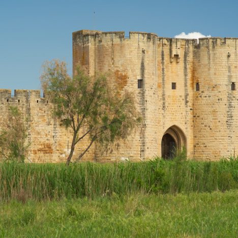Road-trip printanier en Camargue