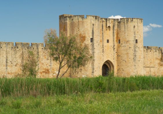 Camargue Aigues-Mortes