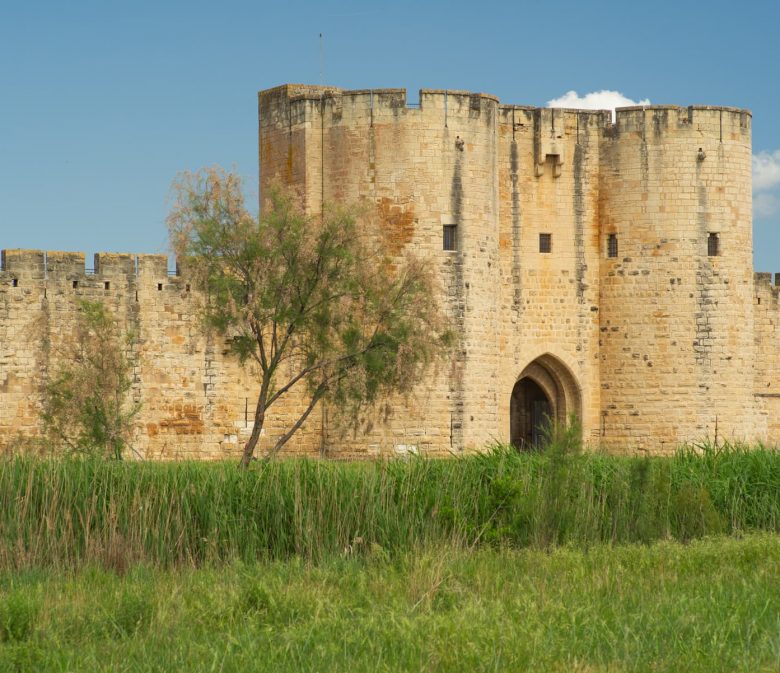 Camargue Aigues-Mortes