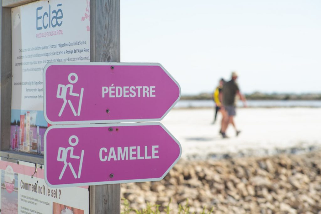 Camargue Salins de Aigues-Mortes
