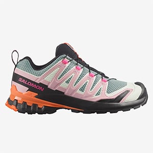 Salomon Nostalgia